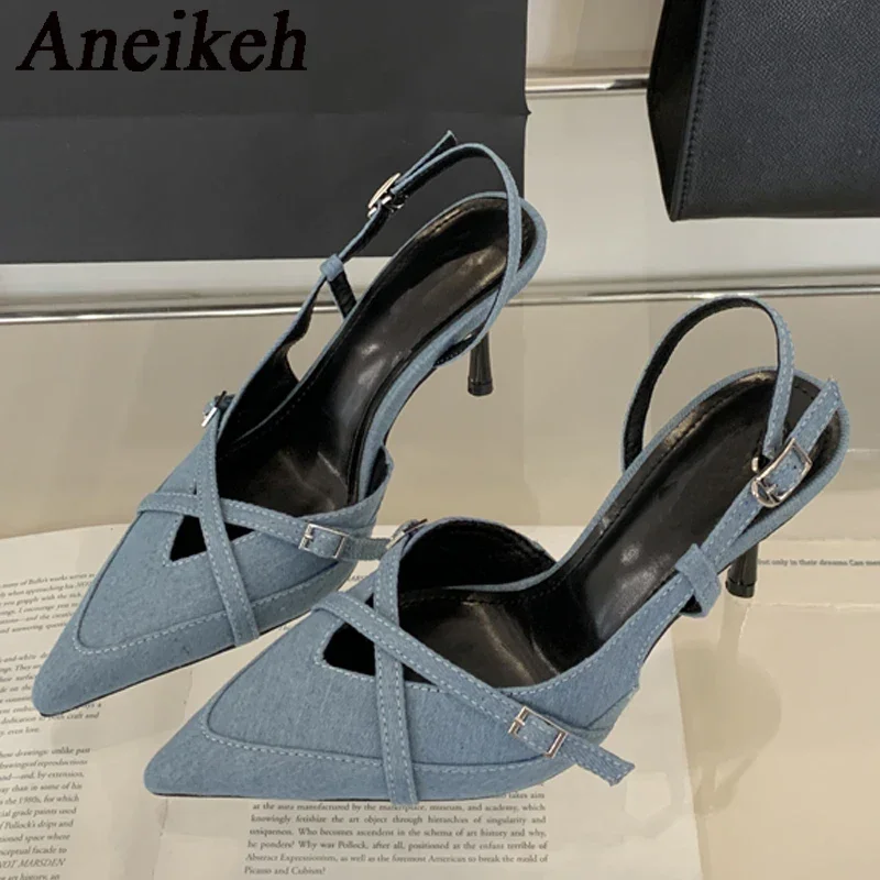 Aneikeh Designer Pointed Toe   - Women Shoes Ysl review and price